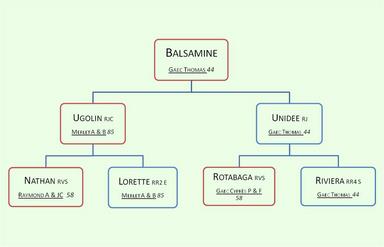 Cliquez pour agrandir l'image