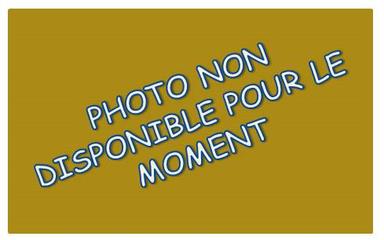 Cliquez pour agrandir l'image